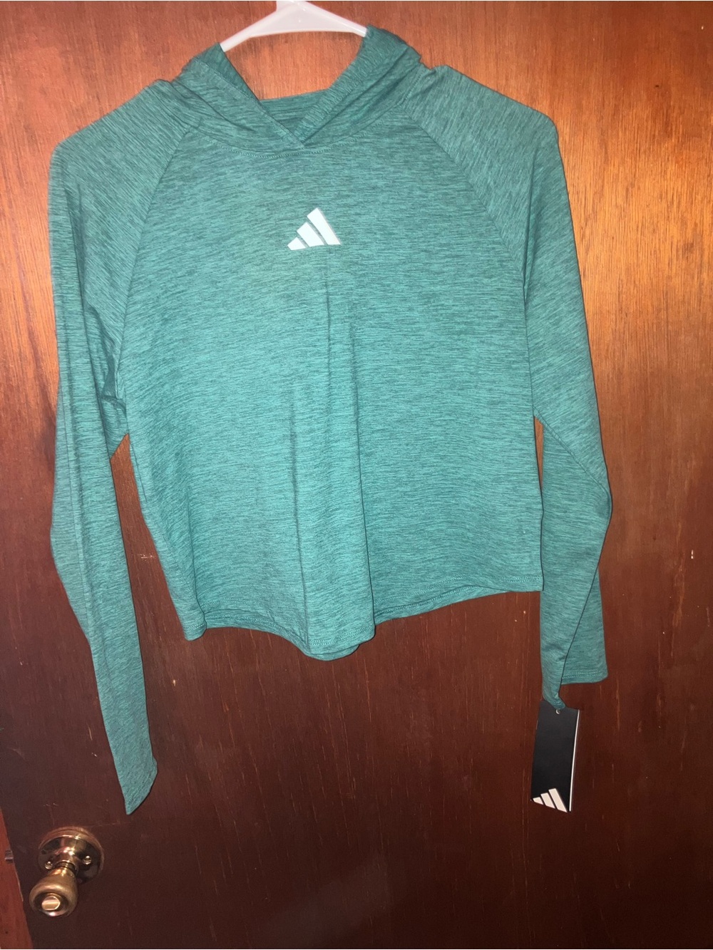 adidas Teal Long-Sleeve Hooded Performance Top